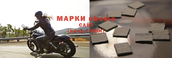 сатива Зеленокумск