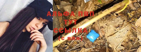 сатива Зеленокумск