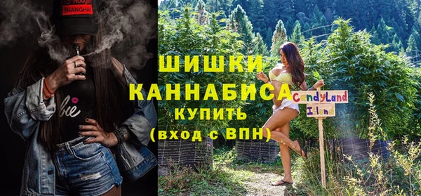 сатива Зеленокумск