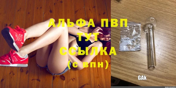 сатива Зеленокумск