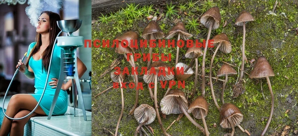 меф Зерноград