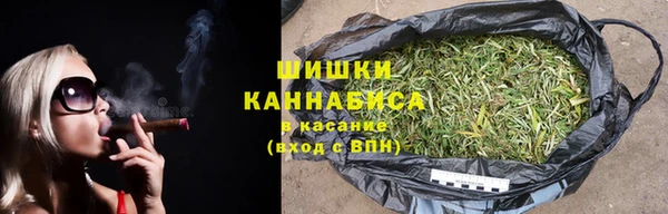 сатива Зеленокумск
